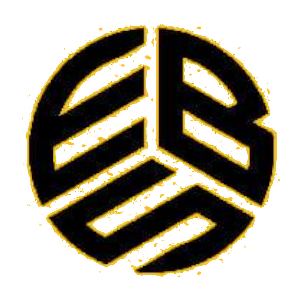 Energise Business Solutions